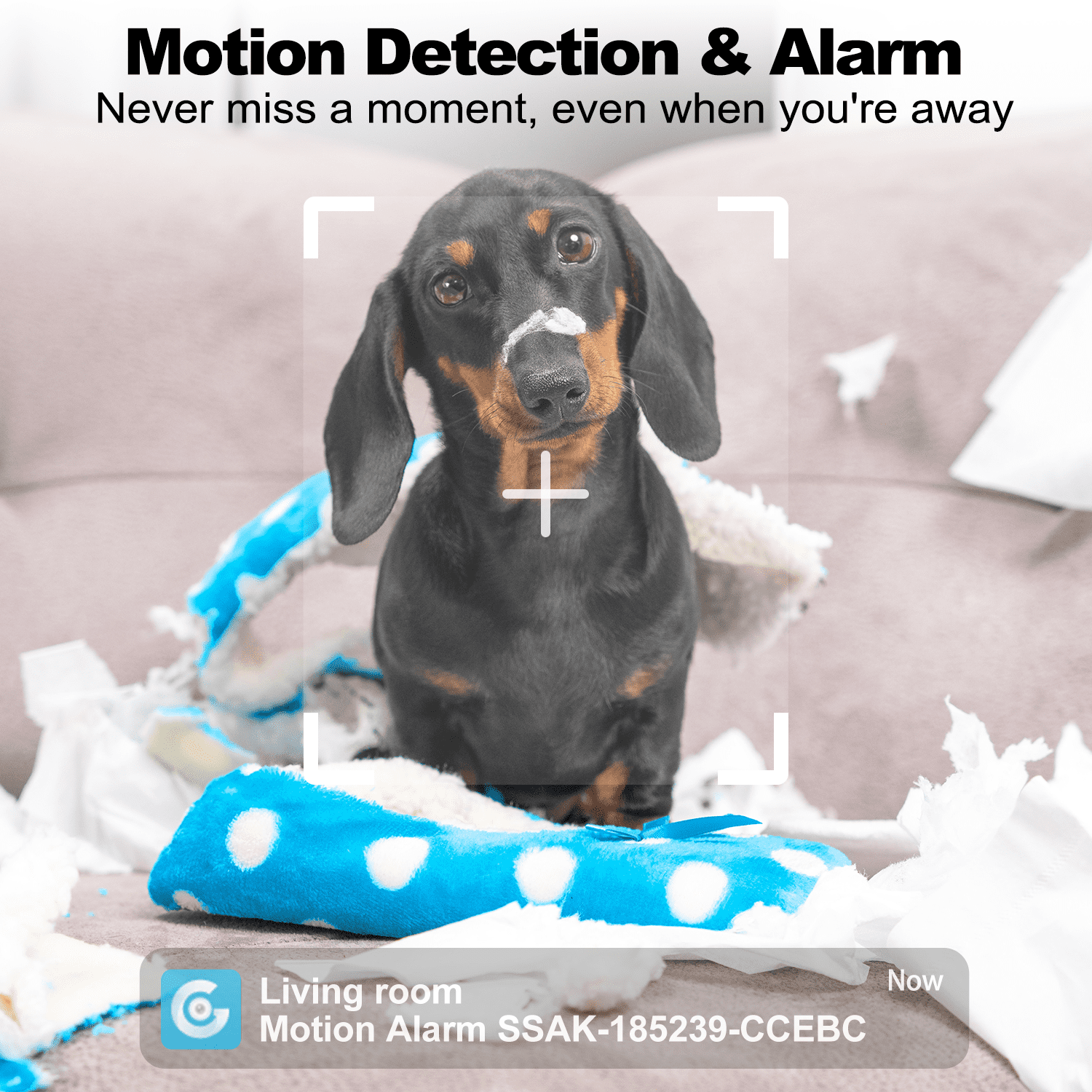 GENBOLT 2K Pet Camera, WiFi Security Camera Indoor,Home Surveillance IP Camera CCTV with Humanoid Detection, Auto Cruise Dog Cam with Audio Alarm