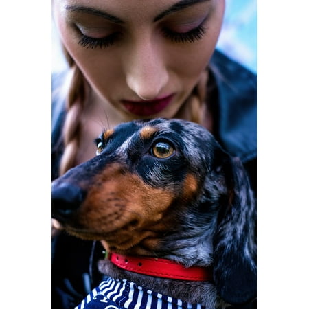 LAMINATED POSTER Girl Dog Portrait Summer Dachshund Best Friend Poster Print 24 x