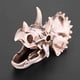 thumbnail image 2 of Decoración de calavera de resina, estatua de Triceratops realista, mesa de cabina de escritorio de Animal, huesos anatómicos para el hogar, fiesta coleccionable de Halloween Inevent HA011090-00B, 2 of 7