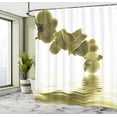thumbnail image 4 of Ambesonne Floral Shower Curtain, Orchid Composition Garden, 69"Wx75"L, Khaki White, 4 of 4