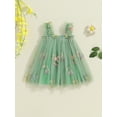 thumbnail image 2 of Suealasg Toddler Girls Princess Dress 6M 9M 1T 2T 3T Sleeveless 3D Flower Tulle A-line Dresses Infant Baby Girls Summer Party Dress, 2 of 7