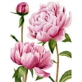 thumbnail image 2 of Popp, Grace 12x14 White Modern Wood Framed Museum Art Print Titled - Winsome Peonies I, 2 of 4
