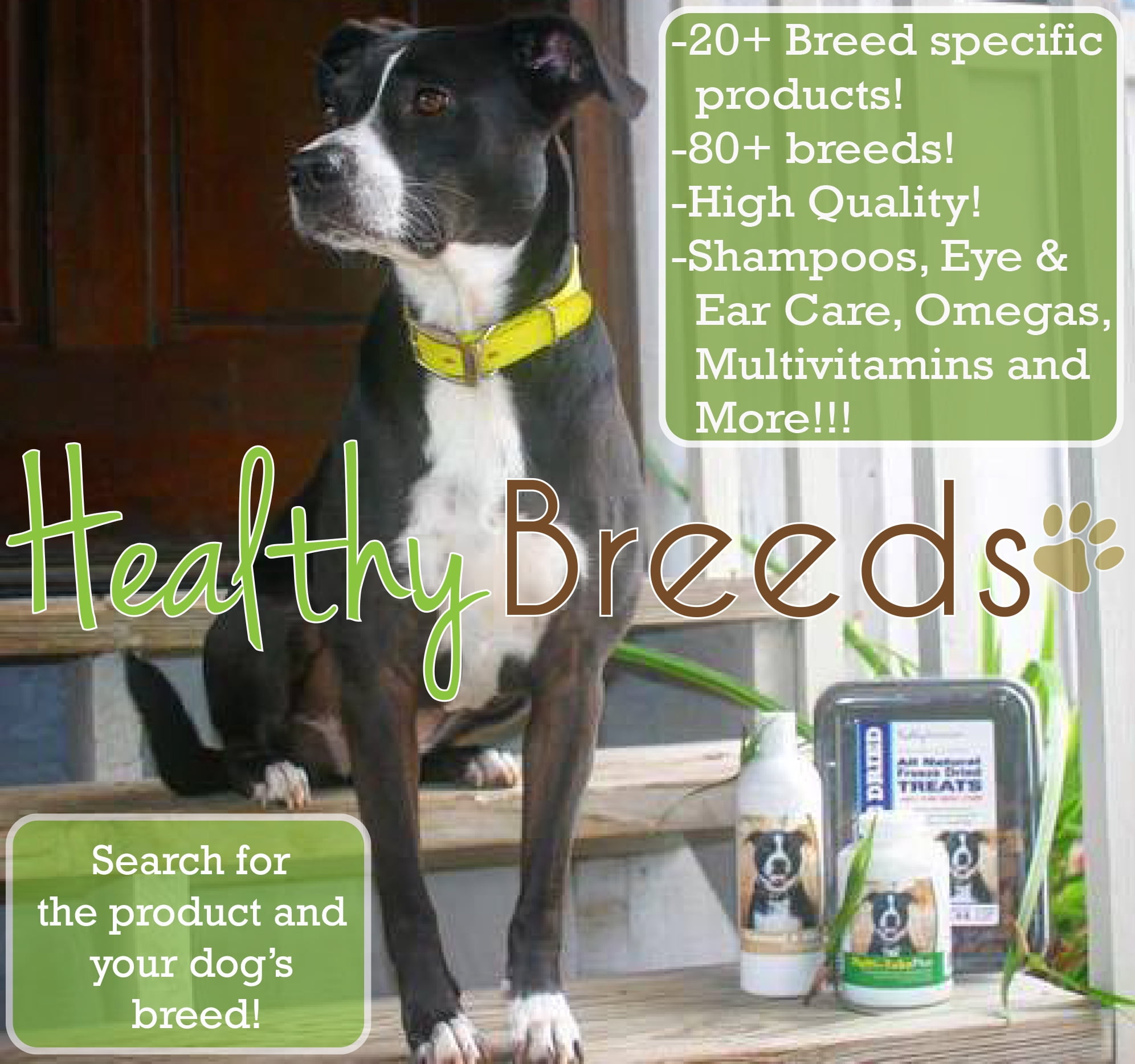 Healthy Breeds Dog Multi-Tab Vitamin and Mineral Supplement for Bull Terrier, 365 Chews