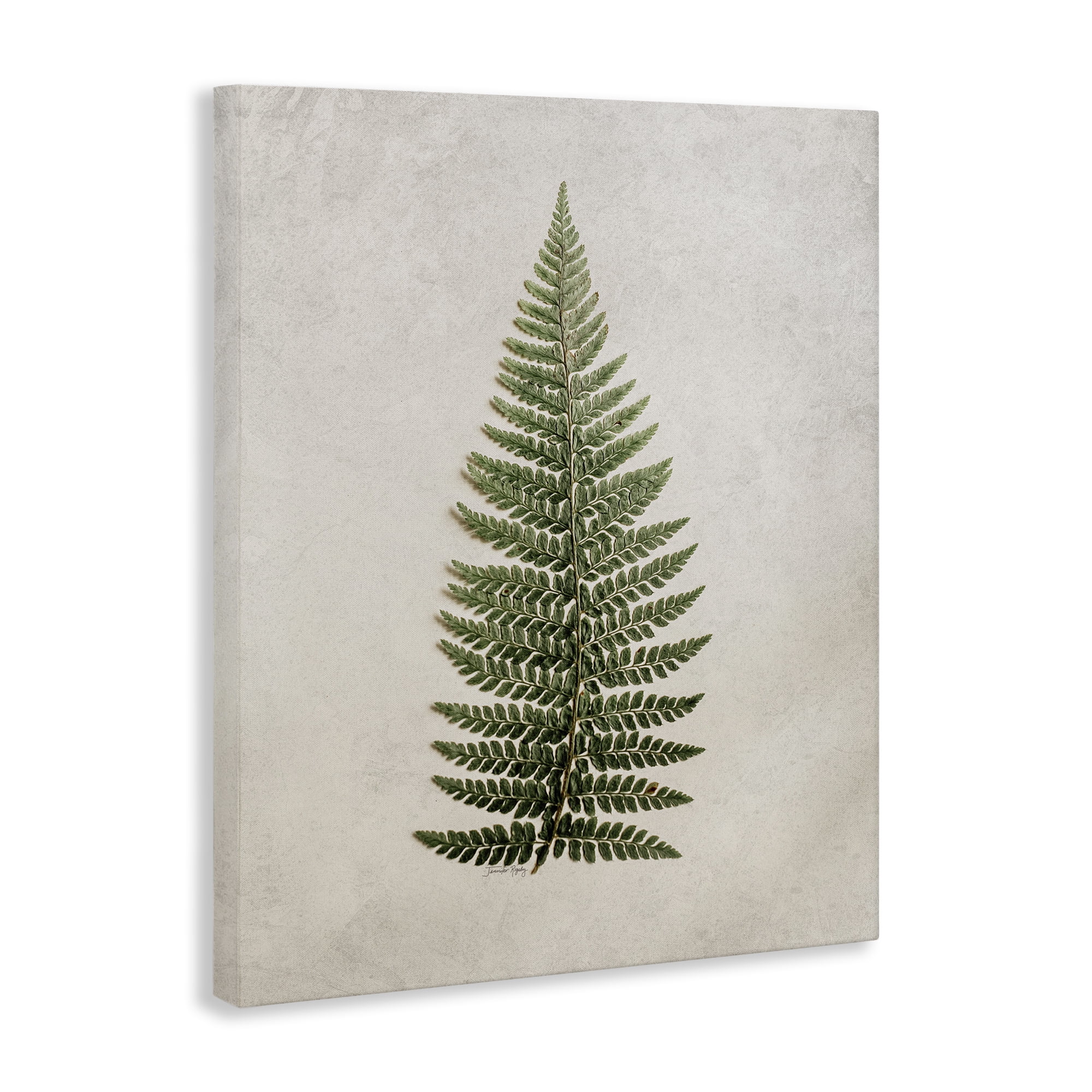 Stupell Industries Detailed Fern Leaf Botanical & Floral Painting Gallery Wrapped Canvas Art Print Wall Art, 30 x 40