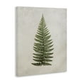 thumbnail image 4 of Stupell Industries Detailed Fern Leaf Botanical & Floral Painting Gallery Wrapped Canvas Art Print Wall Art, 36 x 48, 4 of 8