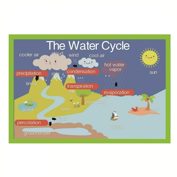 The Water Cycle Mind Mapping| Educational Posters for Toddlers and Kids | English Teaching Aid Tool| Handy Wall English Charts Reference for Students| Great for School Classroom