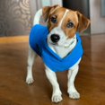 thumbnail image 2 of Ropa de invierno de lana para mascotas, para perros pequeños, disfraces de Yorkshire Terrier, camisetas para cachorros, chalecos para perros y gatos, chihuahuas, bulldogs franceses y caniches., 2 of 5