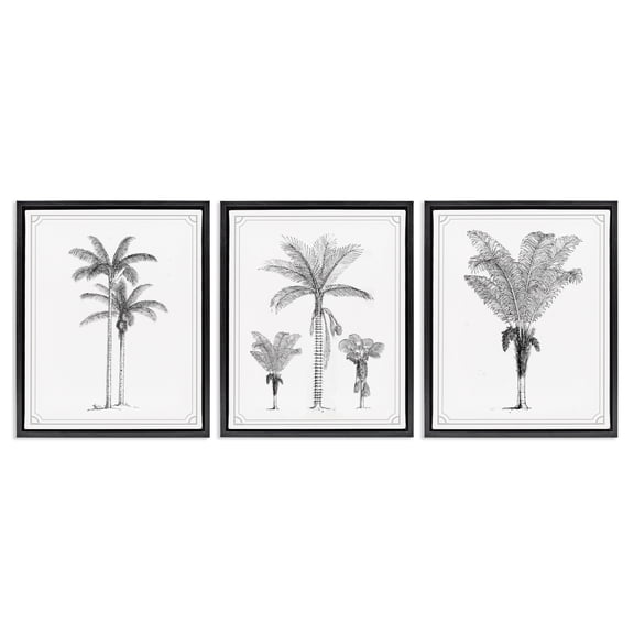 Minimal Vintage Palm Tree Sketches 3 Piece Black Framed Floater Canvas Set, design by Lettered and Lined