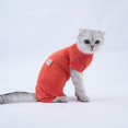 thumbnail image 4 of Traje de recuperación para gatos, camisa para perros y gatos después de una cirugía, ropa protectora para evitar que se laman, para cachorros, gatos, machos y hembras, 4 of 5