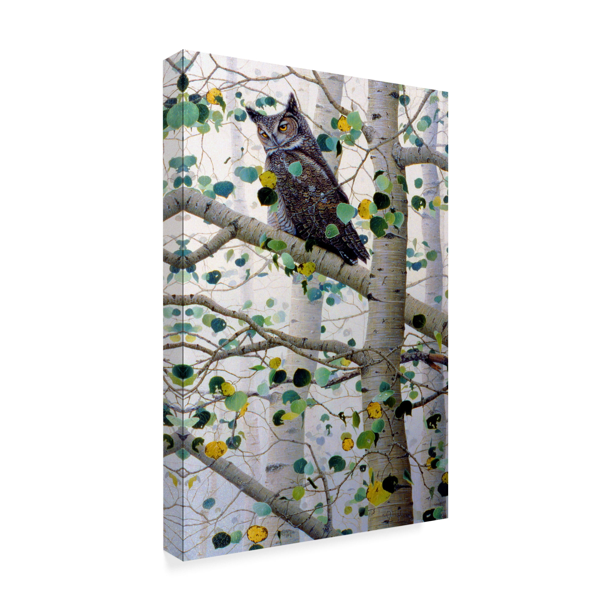 Trademark Fine Art 'Misty Aspen' Canvas Art by Jeff Tift