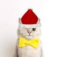 thumbnail image 5 of Chapeau de Chat Imprimé 3D Mode Étoile Design Unique pour Confort et Style Personnel, 5 of 5