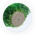 thumbnail image 3 of HEALEEP 2Pcs Realistic Fish Tank Grass Fake Plant for Aquarium and Desktop Decoration, 3 of 4