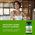 thumbnail image 4 of Swanson Genistein from Sophora Japonica 125 mg60 Veggie Capsules, 4 of 8