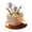 B, variant on Personalized Mini Birth Month Flower Pot, Small Ceramic Vase Table Decor with Colorful Floral Design, Cute Indoor Home Desk Decoration for Living Room Office, Mother's Day Gift for Women Mom