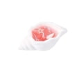 thumbnail image 1 of Atmosphere Conch Aromatherapy Candle Creative Shell Gift Holiday Birthday Accompanying Gift Emotional Fantasy Ornament, 1 of 2
