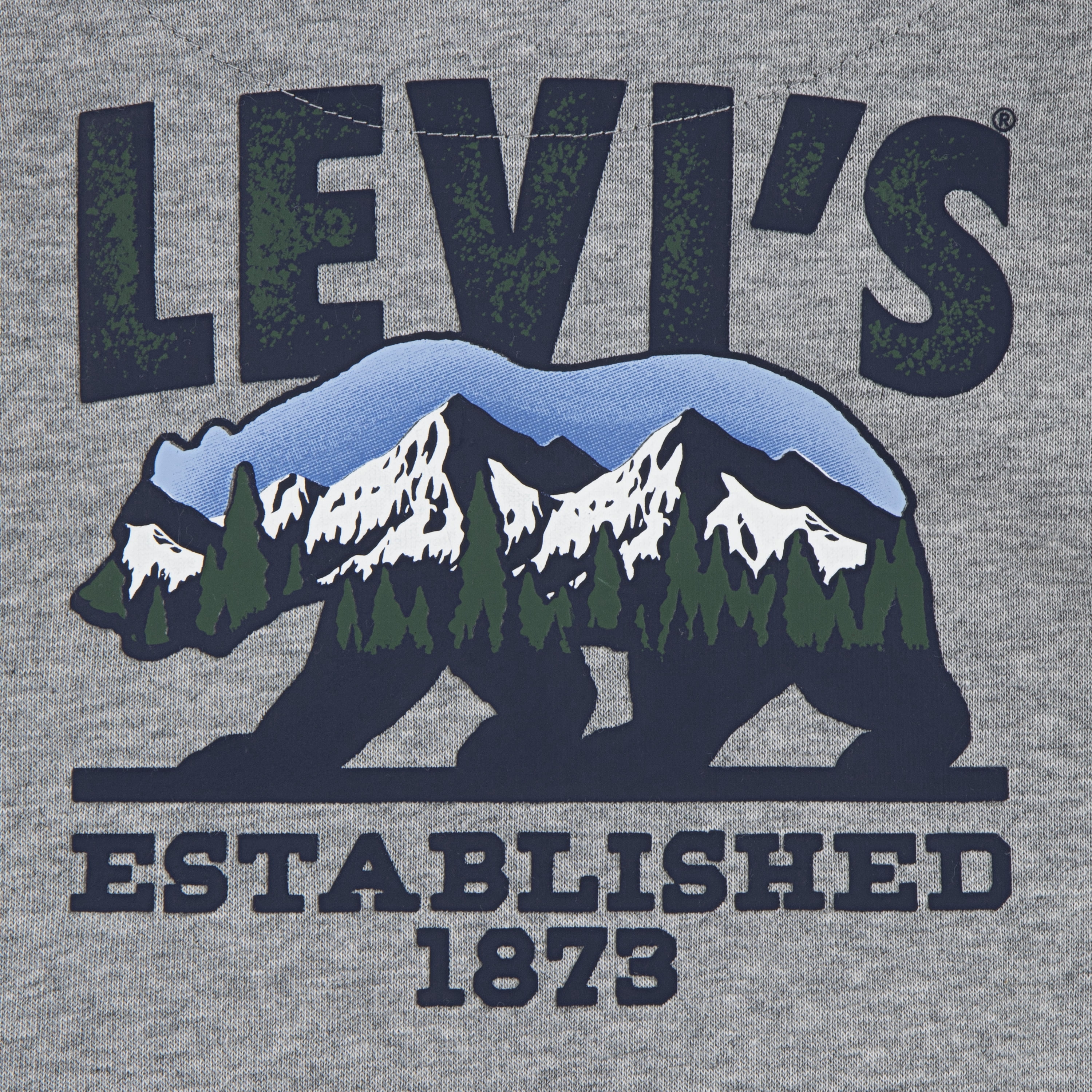 Levi's Boys Toddler Winter Bear Hoodie, Sizes 2T-4T
