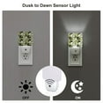 thumbnail image 5 of Uemuo Hawaii Palms Night Light, Night Lights Plug into Wall, Dusk to Dawn Sensor Warm White Led Night Light 0.5W-EU, 5 of 9