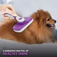 thumbnail image 6 of Poodle Pet Self-Cleaning Slicker Brush for Dogs & Cats, Purple (1 Pack), 6 of 7