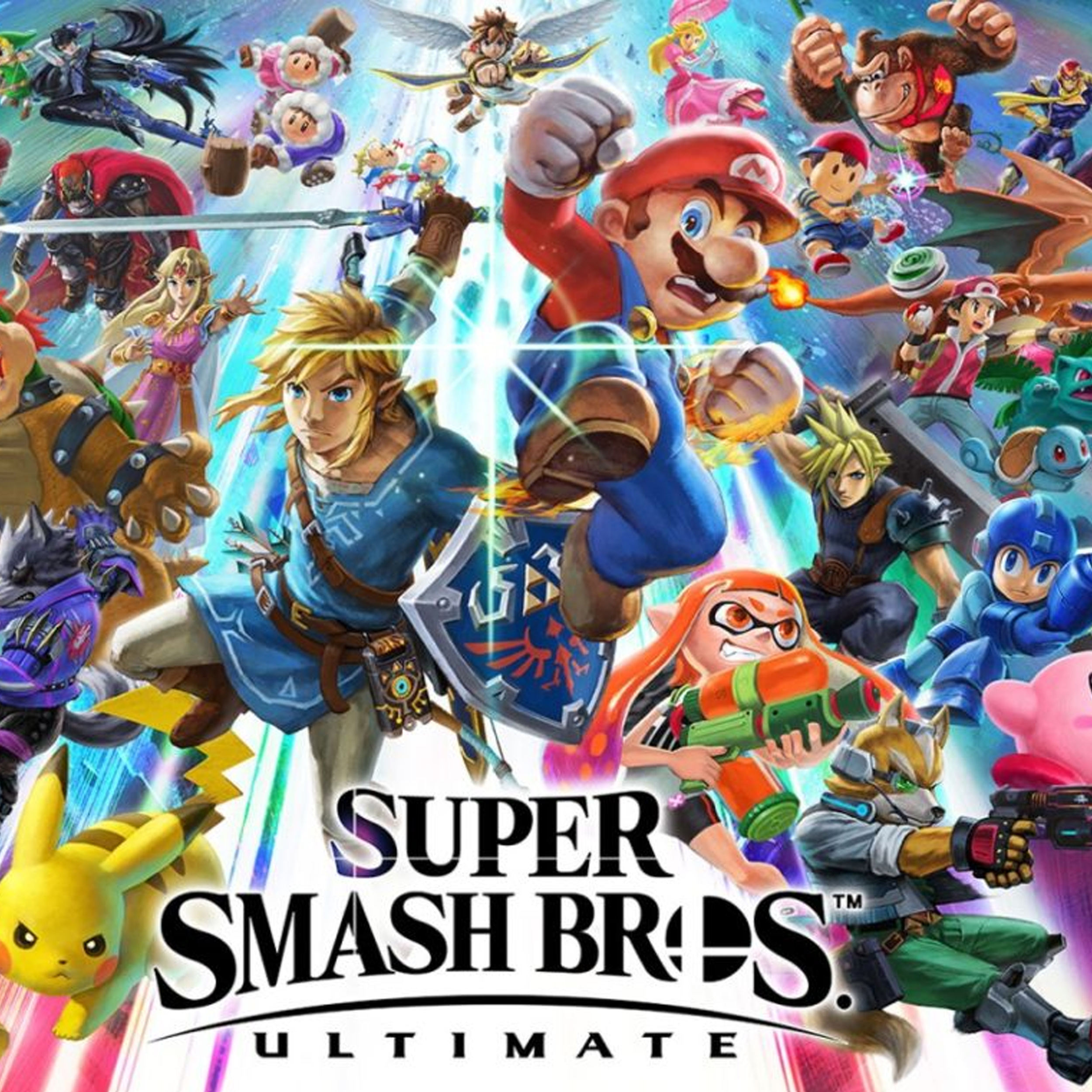 Hard Shell 12 Game Caddy, Super Smash Bros Game for Nintendo