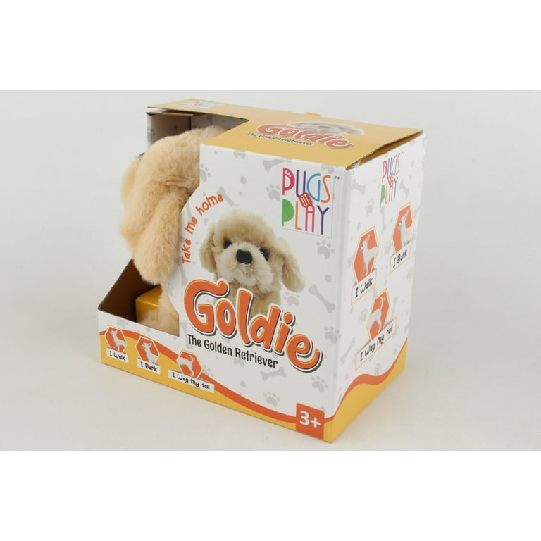 Dog in a 2025 box toy shop