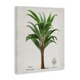 thumbnail image 2 of Stupell Industries Shabby Chic Palmas Longas Palm Tree Canvas Art, 16 x 20, by Val Rhodes, 2 of 8