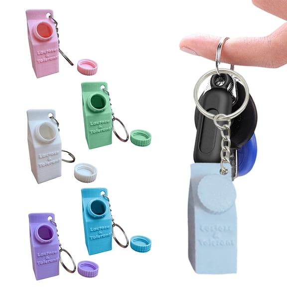 Joernso Compact Key Holder Portable Storage Box Compact Design Easy to Carry Small Safe Key Holder Decorative Bag Pendant