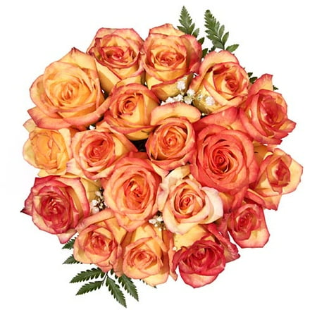 SEASONAL Fall Konfetti Long Stemmed Roses