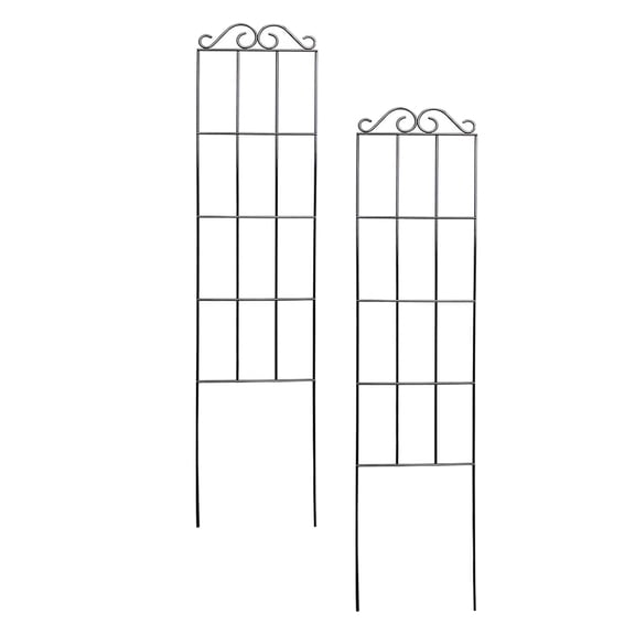 Zehuanyu 2pcs Garden Plant Trellis Vine Climbing Support Garden Plant Trellis Plant Climbing Frame Rack for Plants