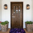 thumbnail image 5 of Goofa 16"x24" Inches Galaxy Lightning Doormats for Outdoor Entrance - Non-Slip Welcome Mat, Heavy Duty Door Mats Outdoor, Spring Doormat, 5 of 9