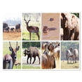 thumbnail image 2 of Collage Faune Africaine Riche - Peinture d'Art Animalier, 2 of 3