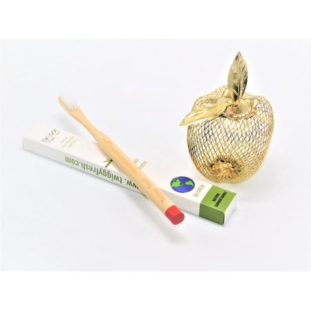 Twiggy Fresh Bamboo Toothbrush