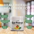 thumbnail image 4 of Gut Protect Greens Superfood Powder with Probiotics & Prebiotics – Super Greens Powder, Smoothie & Juice Mix Powder - Digestive Health, Immune Health & Regularity Support – Mango, Pineapple, 4 of 6
