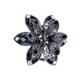 thumbnail image 1 of Pinza para el pelo Sonducket Clip conveniente azul, 1 of 6