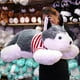 thumbnail image 4 of Perrito Husky Lobo de Peluche Acostado 1 Metro PELUCHERIA, 4 of 5