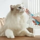 thumbnail image 3 of 2025 Nuevo Exprimidor De Snacks Para Gatos Herramienta Para Exprimir Snacks Para Gatos Máquina Exprimidora De Paquetes De Carne, 3 of 5