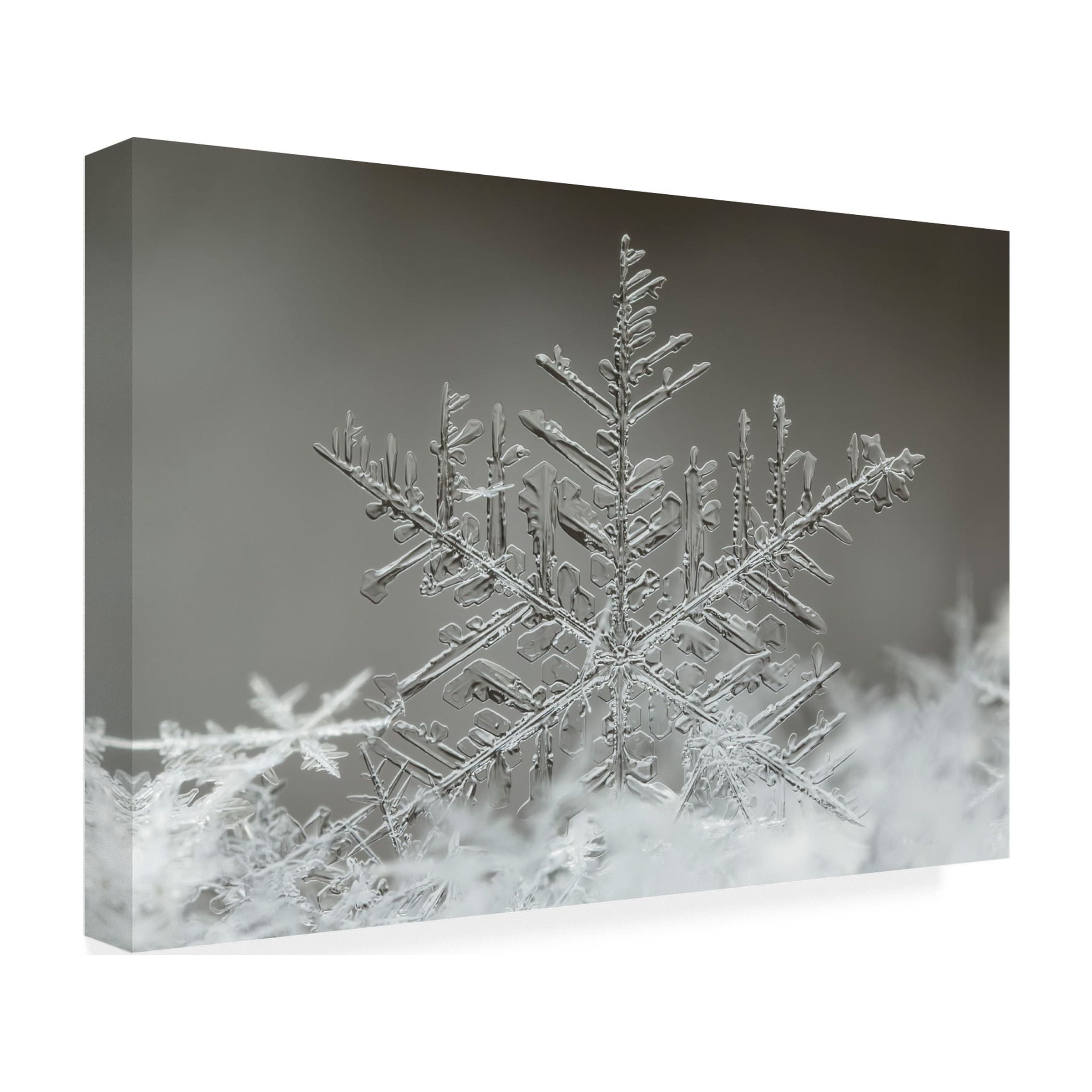 Tsolmon Naidandorj 'Snowflake' Canvas Art
