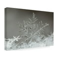 thumbnail image 4 of Tsolmon Naidandorj 'Snowflake' Canvas Art, 4 of 4