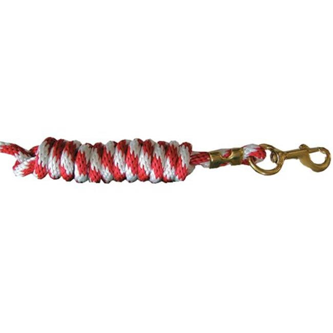 Intrepid International Poly Lead Rope with Solid Brass Snap