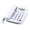 White, variant on Corded Telephone With Caller Display And Landline Phone Speakerphone For Home Use Plastic Desk Phone