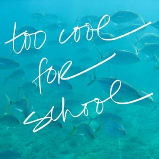 Too Cool Canvas Art - Susan Bryant(24X24)