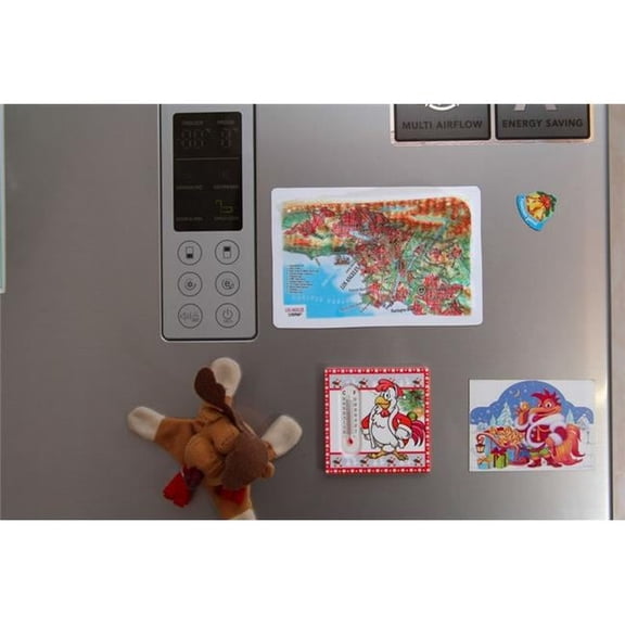 TestPlay 3361 Los Angeles Raised Relief Map, Unframed - Souvenir Size