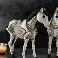 thumbnail image 4 of Skeleton Horse Statue Creepy Halloween Skeleton Animals Halloween Novelty Skeleton Farm Animals Halloween, 4 of 6