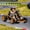 Brown, variant on TEREDNAT 24V Electric Go-Kart for Kids, Dual 300W Motors, 8.1 MPH, 155 lb, Drifting Ride-On with Music, Brown