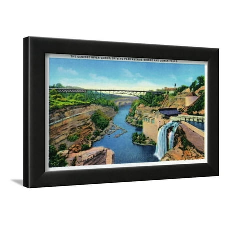 Windsor Gardens Rochester Ny Rochester, NY - Genesee River Gorge, Park Avenue Bridge, Lower Falls View Framed Print Wall Art By Lantern Press ()