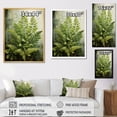 thumbnail image 4 of Designart "Ferns Plant Timeless gracefulness IV" Floral & Botanical Floater Framed Wall Art Print, 4 of 7