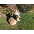 thumbnail image 4 of Realtime Fast Tracking Dog Collar GPS Pet Location Finder + Rechargeable Battery Size:L, 4 of 5