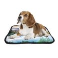 thumbnail image 2 of PKQWTM Mountain Lake Fantastic Sunny Day Pet Dog Cat Bed Pee Pads Mat Cushion Potty Dogsblankets Crate Bed Kennel 28x36 inch, 2 of 3