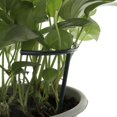 thumbnail image 3 of Garden Plant Vine Frame Support Planting Fruit Rack Patio Climbing Trellis Grid T-type 6pcs, 3 of 8