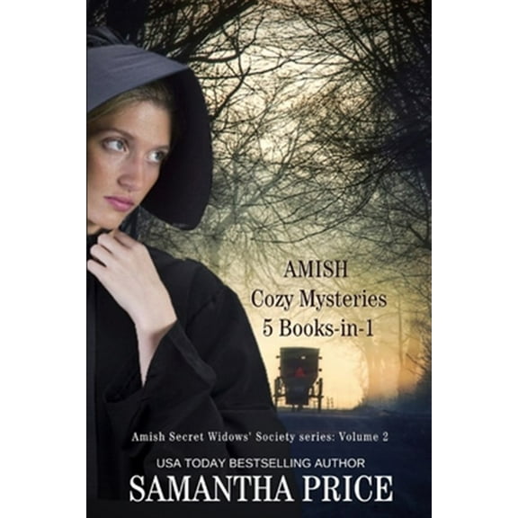 Pre-Owned Amish Widow Mysteries Boxed Set Amish Cozy Mysteries: 5 Books-in-1: Amish Undercover, Amish Breaking Point, Plain Murder, Plain Wrong, That Which Was Lo, Book 2, (Paperback)