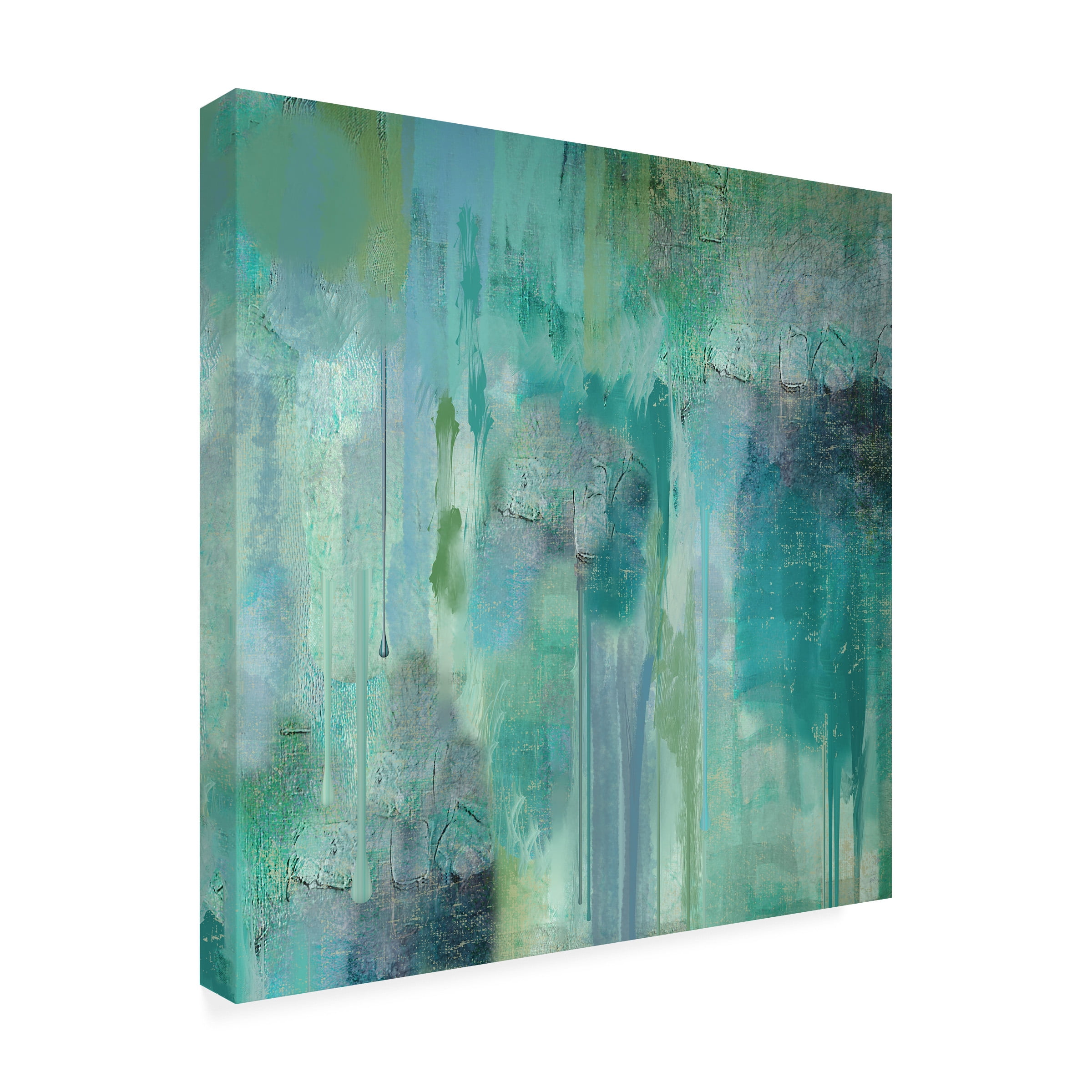 Trademark Fine Art "Aqua Circumstance II" Canvas Art by Color Bakery